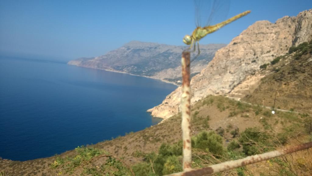 Ikaria Studios Manganítis Eksteriør bilde